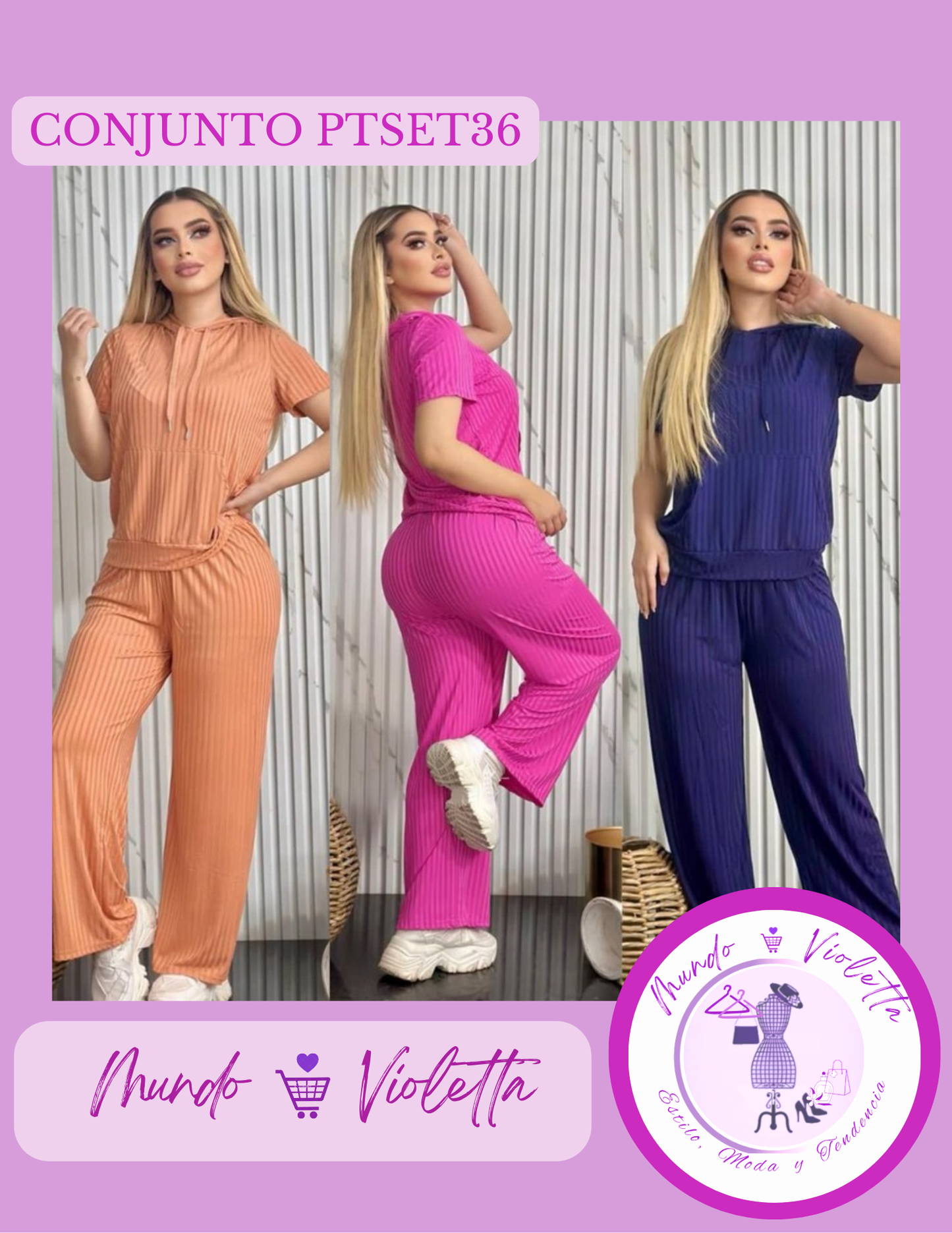 CONJUNTO PTSET36
